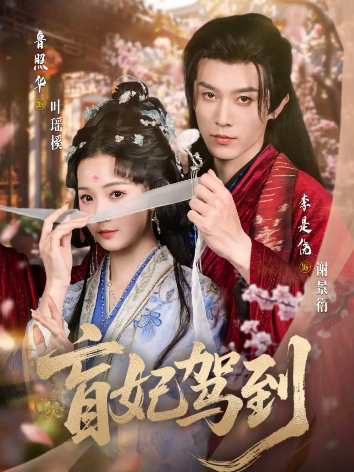 盲妃驾到第14集