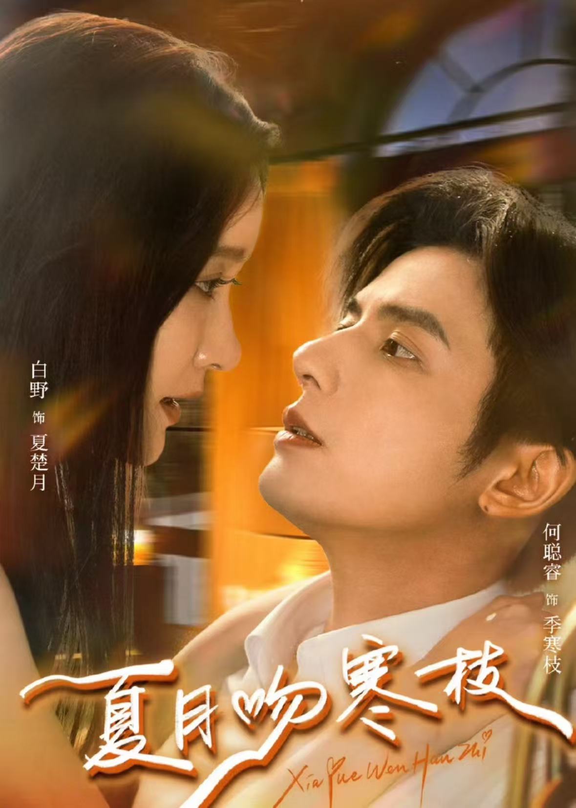 夏月吻寒枝第19集