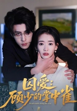 囚爱：顾少的掌中雀(全集)