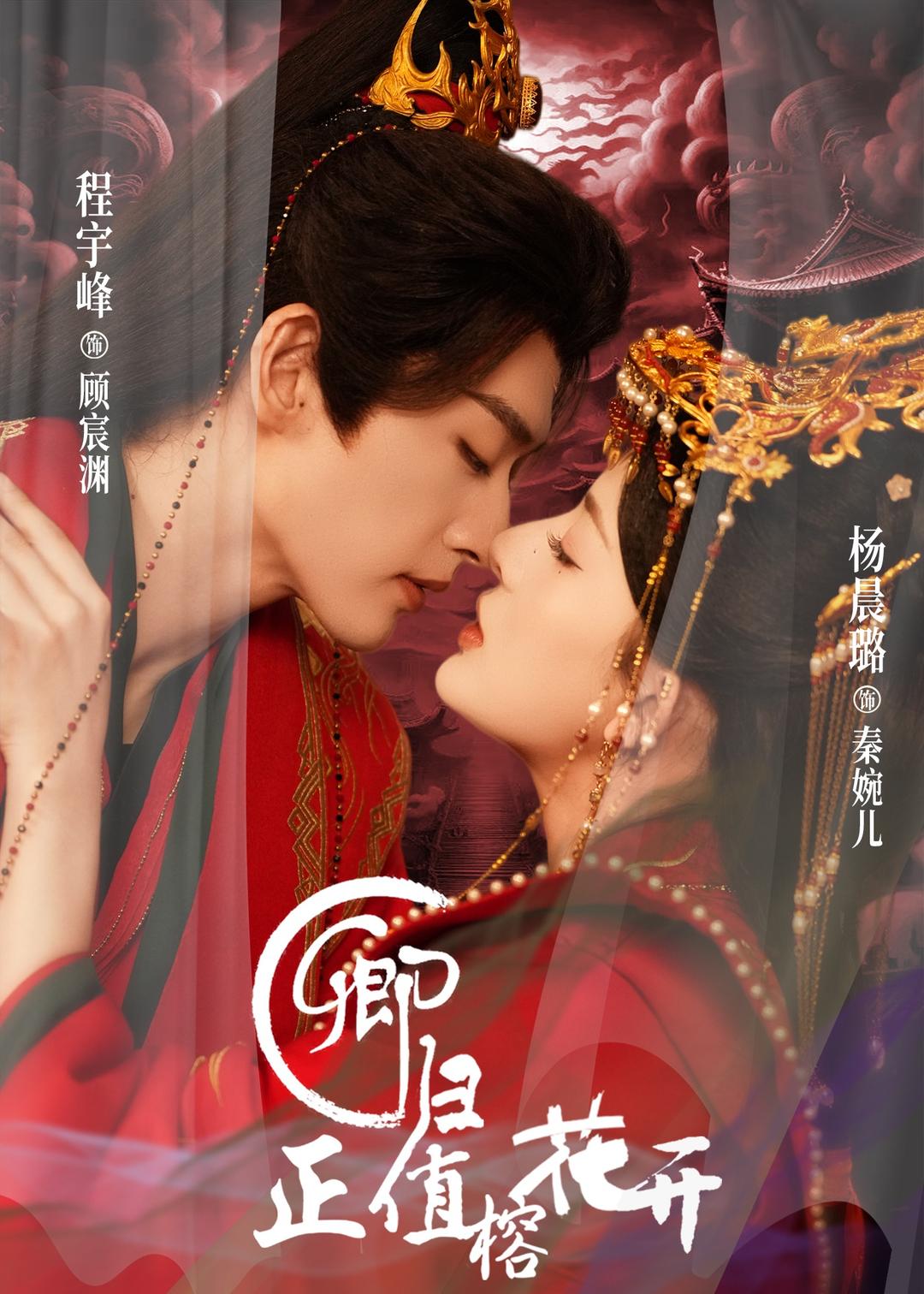卿归正值榕花开(全集)