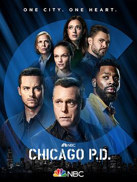 芝加哥警署第九季第1集