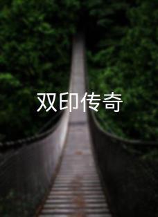 双印传奇(全集)
